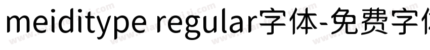 meiditype regular字体字体转换